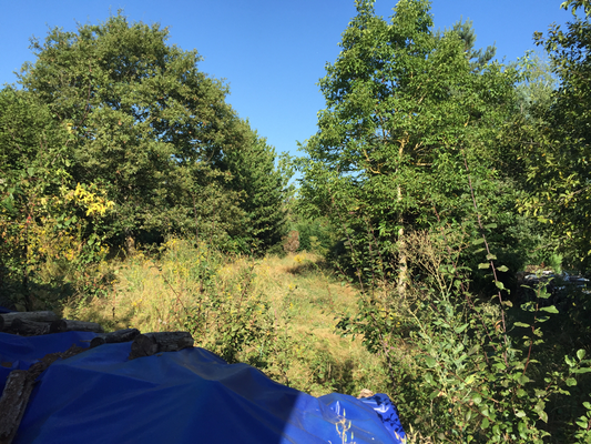 Débroussaillage Cher