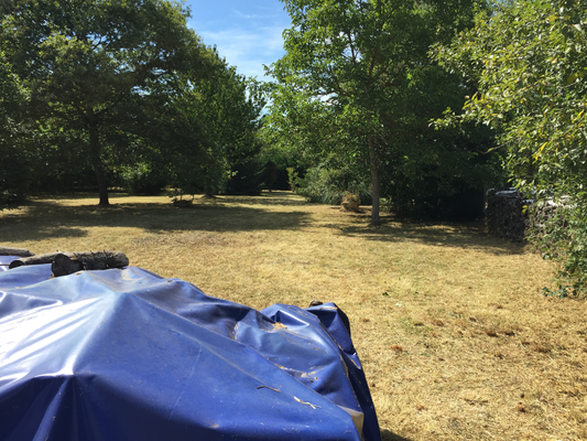 Débroussaillage Cher